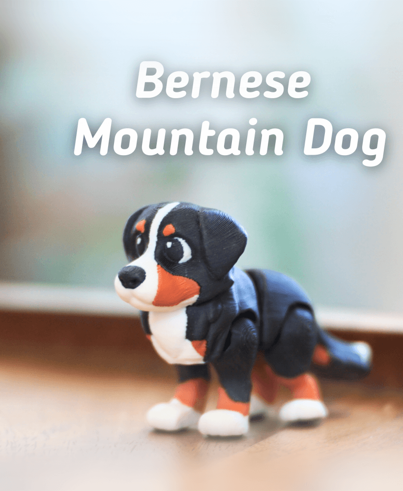 Bernese Mountain Dog - Articulated fidget Dog 3d model