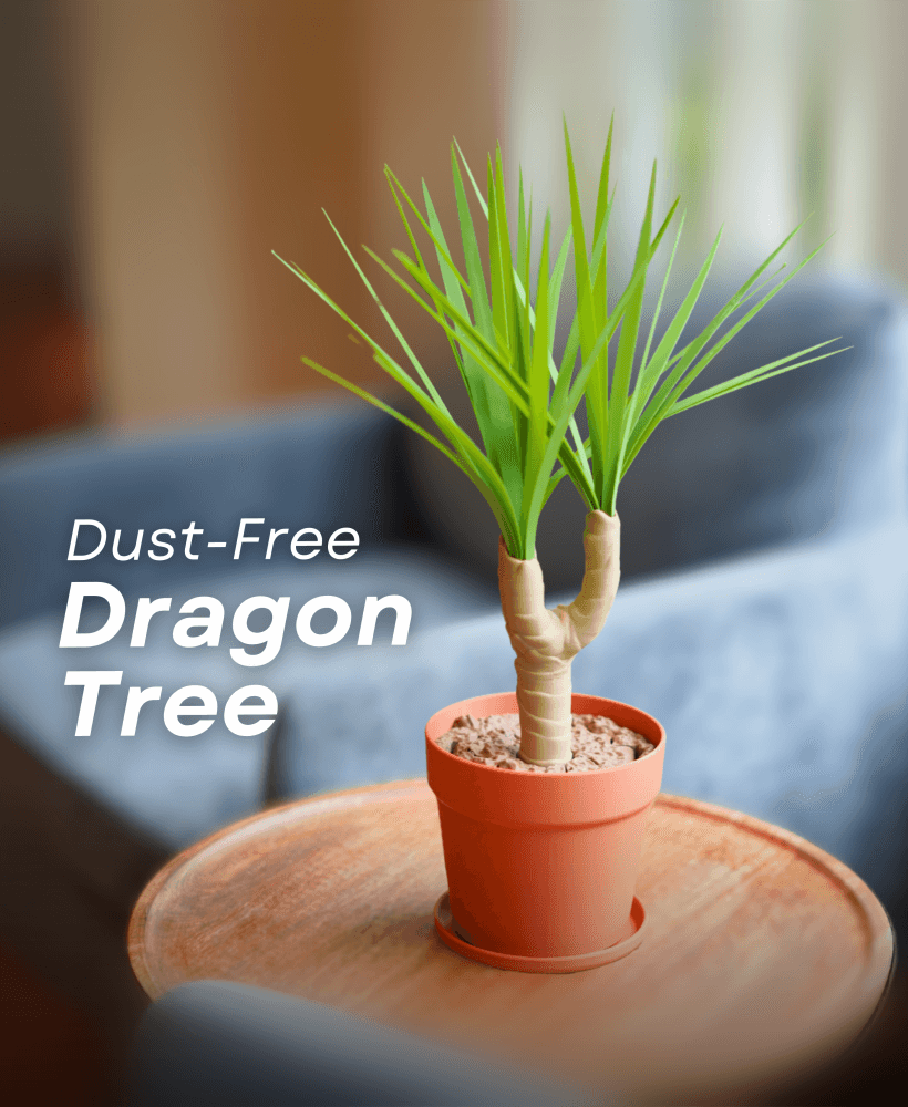 Dust-Free Dragon Tree | The Brush, Trashcan, Dustpan all-in-one Plant 3d model