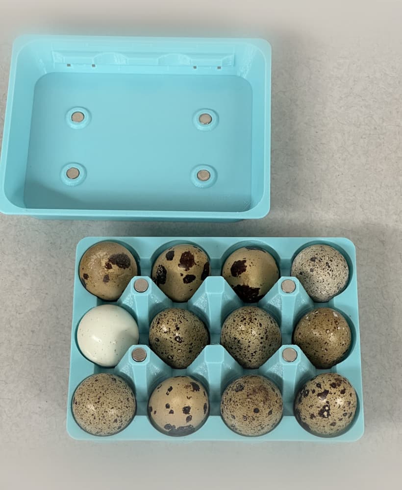 18-Count Quail Egg Carton design - use magnets to close lid 3d model