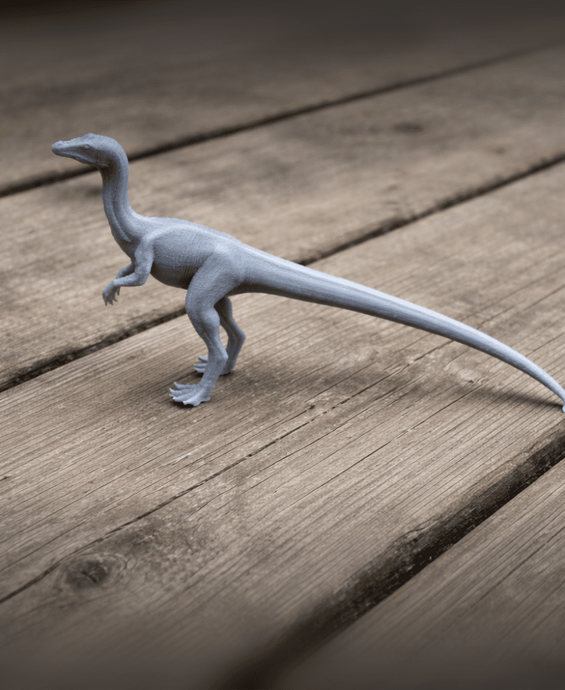 Compsognathus 3d model