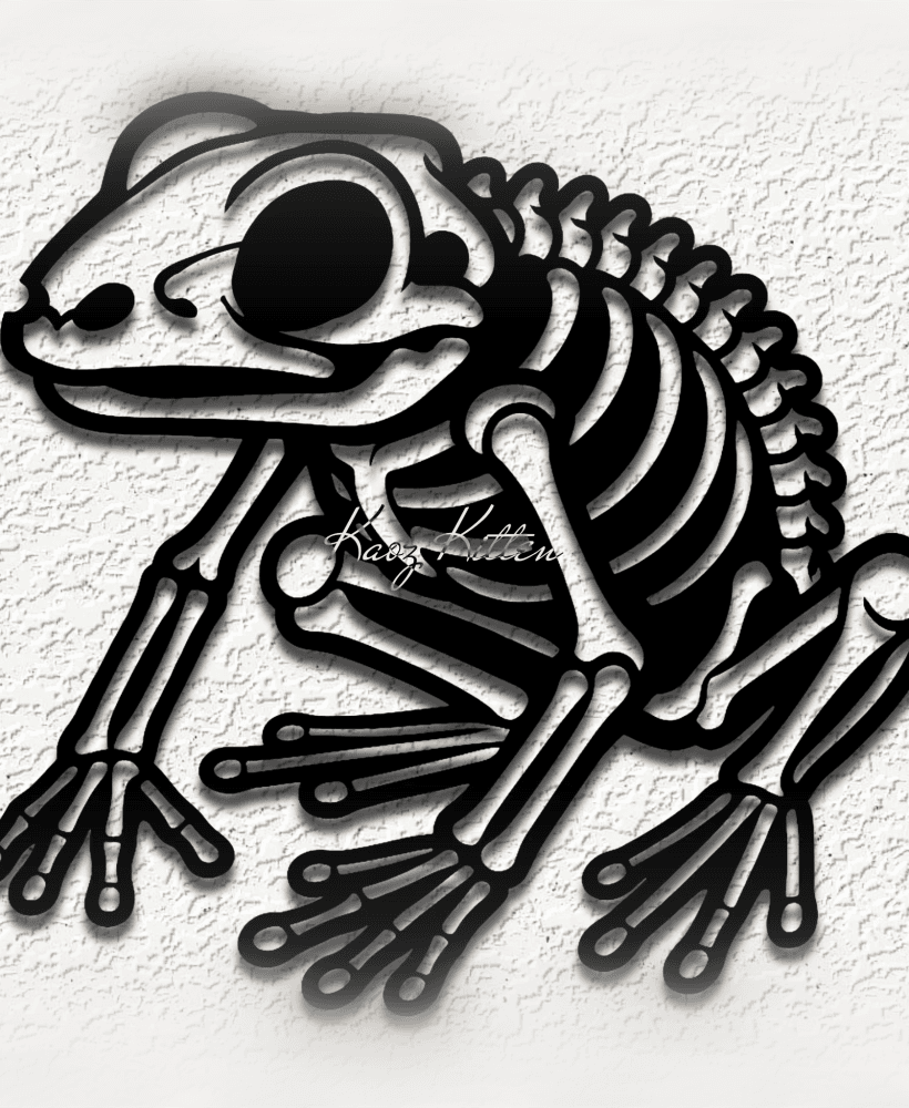 frog skeleton wall art home decor 3d model