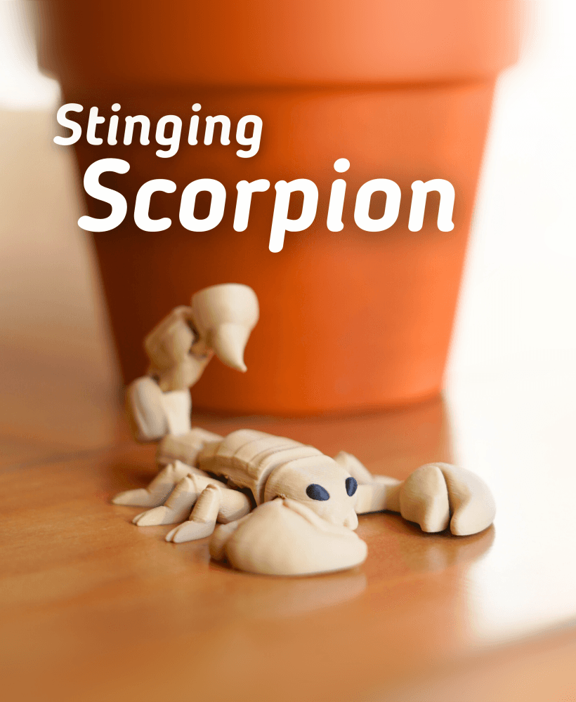 Stinging Scorpion- Articulated Fidget Scorpion - Ludo 3D Printed Flexi Fidget Toy 3d model