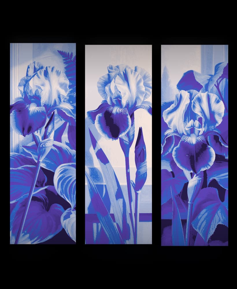 Artistic display of a purple Iris - Set of bookmarks 3d model