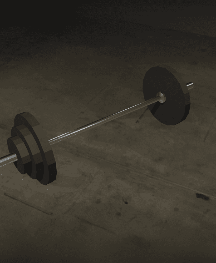 Barbell Weights 3d model