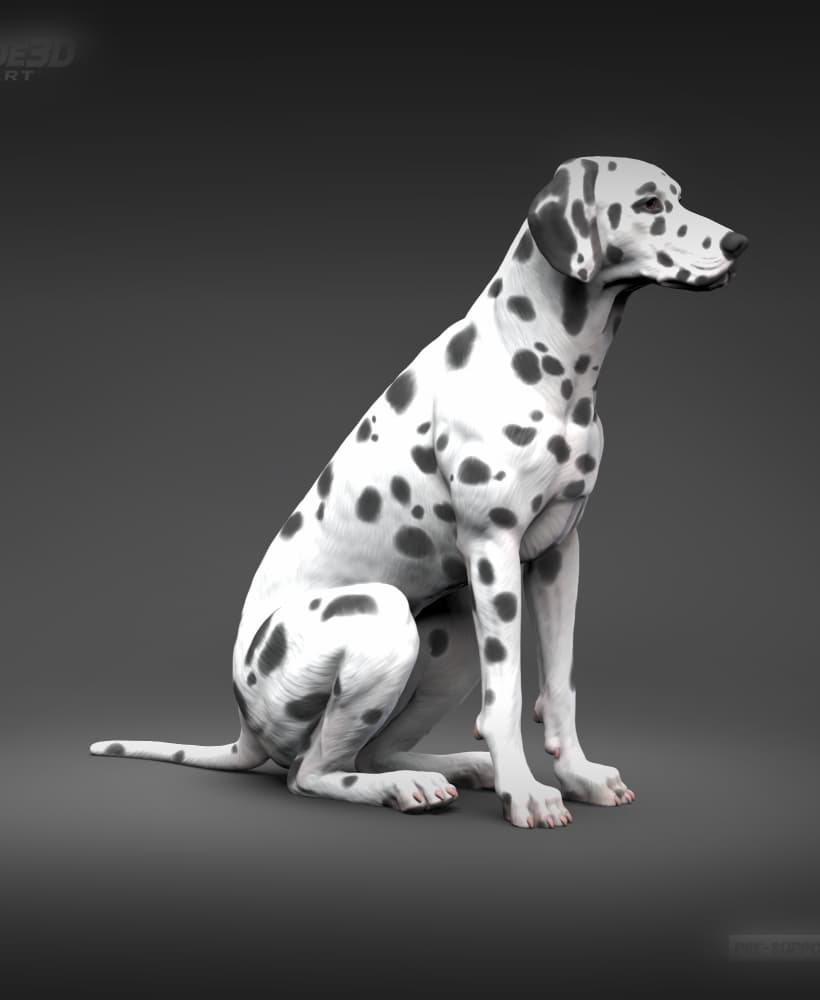 Dalmatian 3D Print Model Pose 03 3d model
