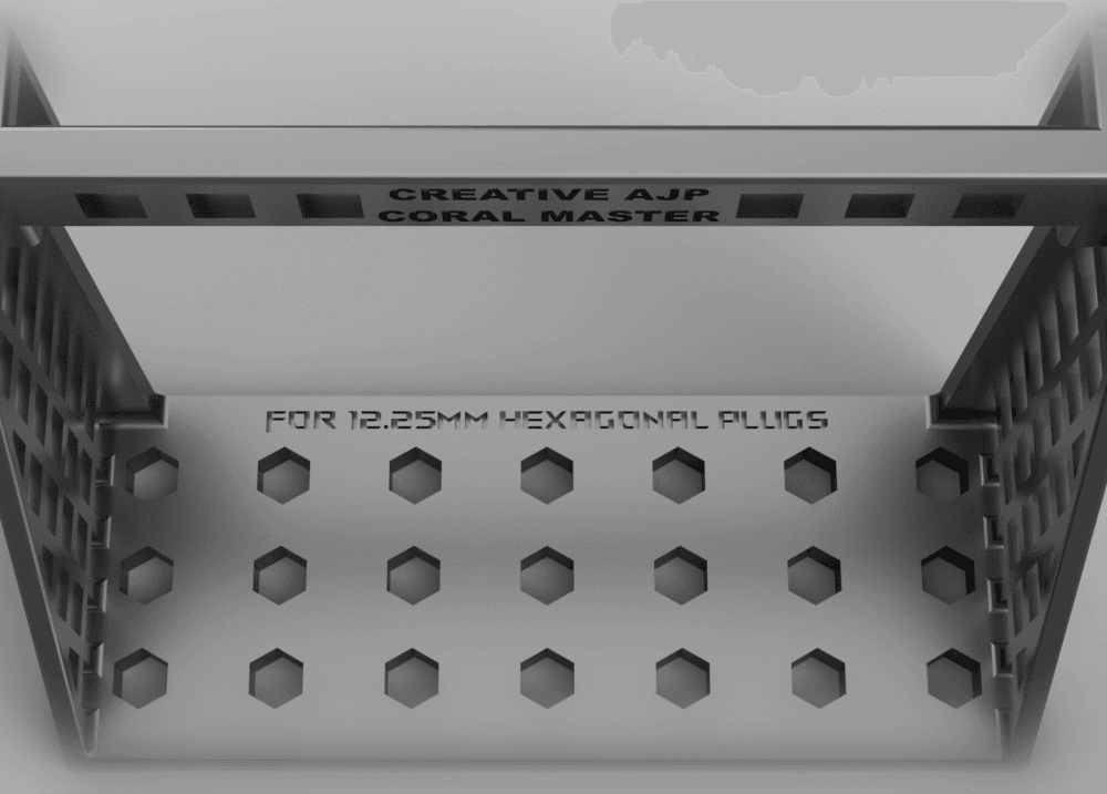 Master Coral Rack 3d model
