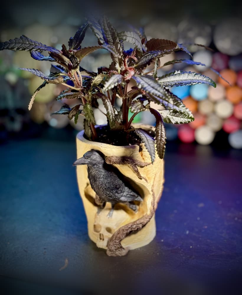 The Raven's skull planter 3d model