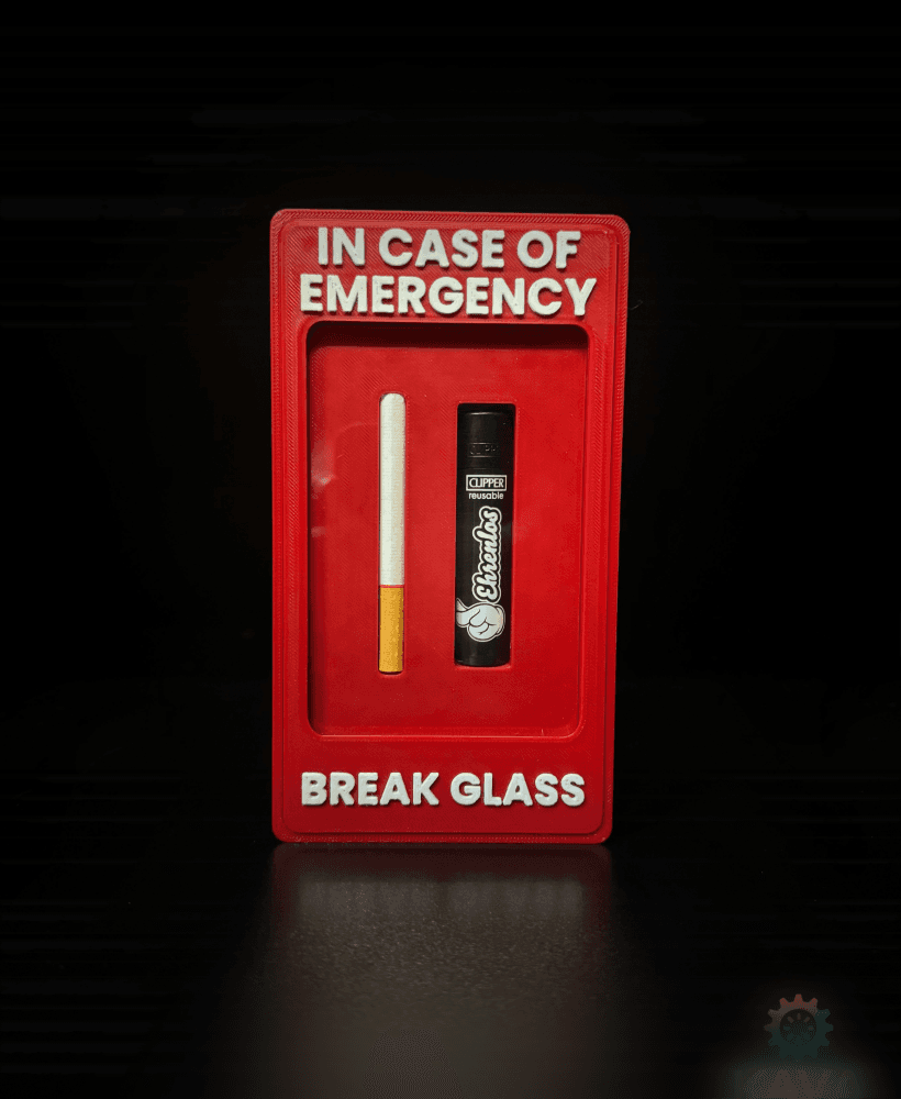 In Case of Emergency: Cigarette & Lighter Edition 3d model