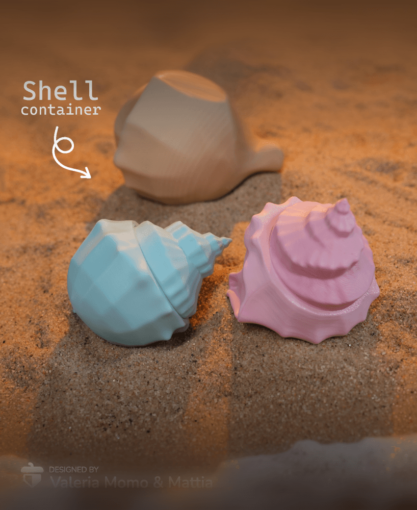 Shell Diorama Container 3d model