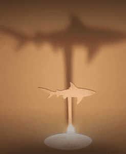 Animal Shark 3d model