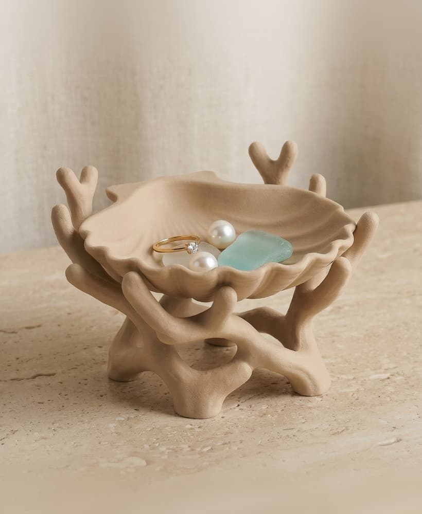 Biomorphic Shell & Coral Jewelry Catch-all | Sculptural Home Decor 3d model