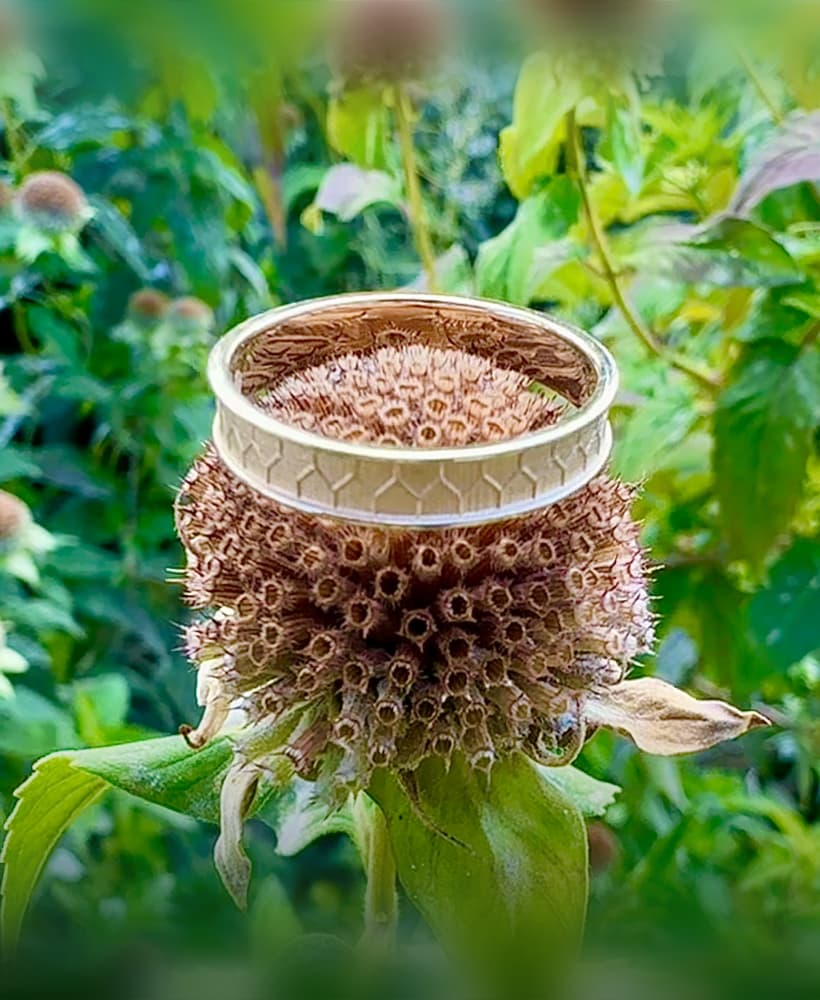 Honeycomb Ring 3d model