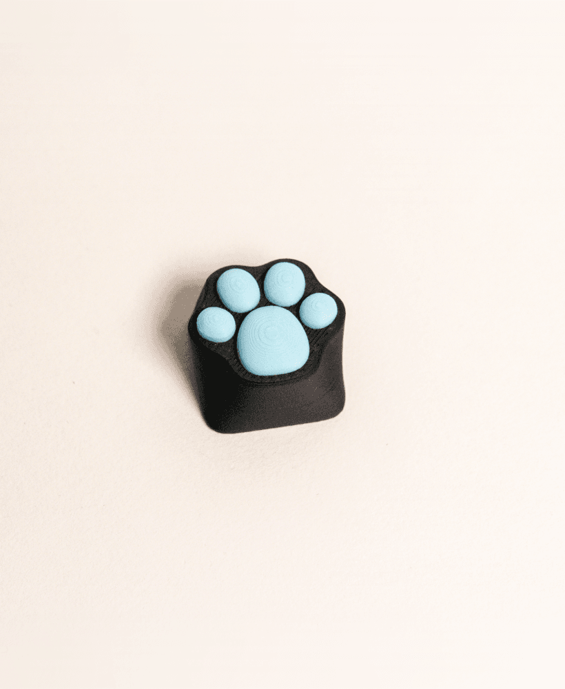 Custom Paw Keycap for Keyboard 3d model