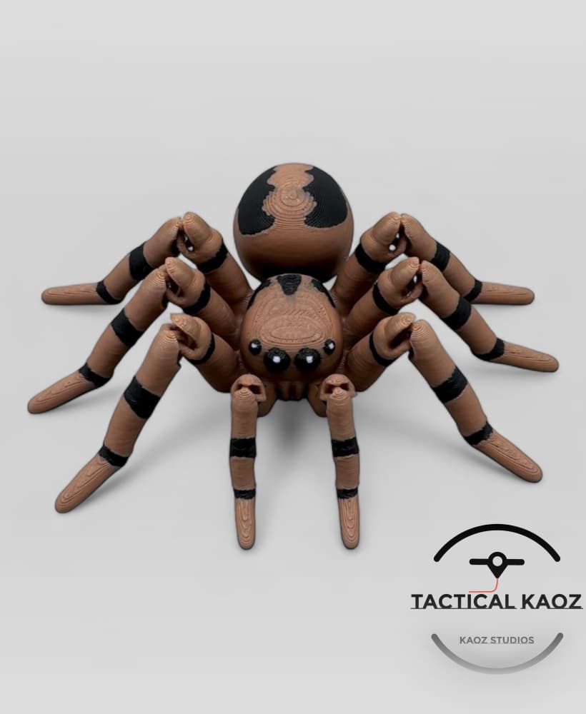 Articulating Spider Flexy Jumping spider / Tarantula 3d model