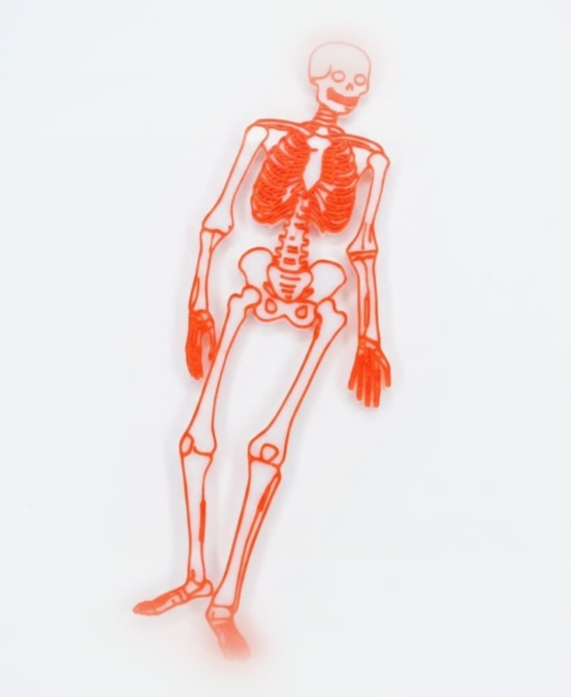 Skeleton 3d model