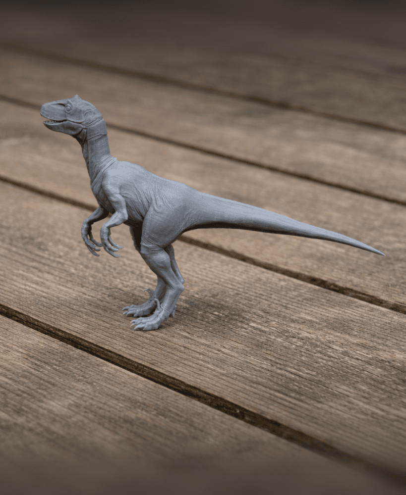 Dromaeosaurus 3d model