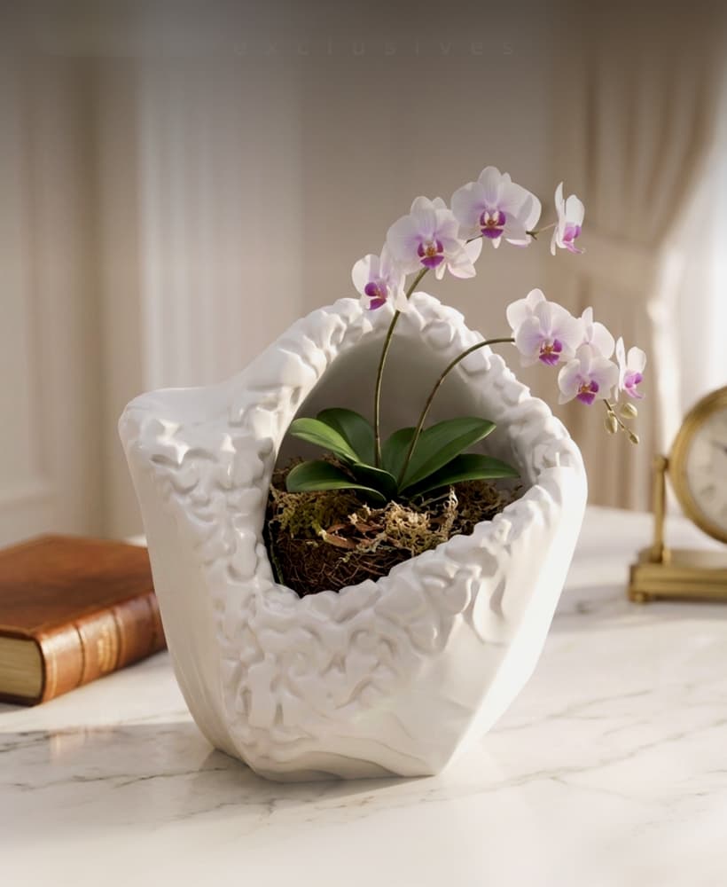 Deformed Rocky Planter Texturized 3d model