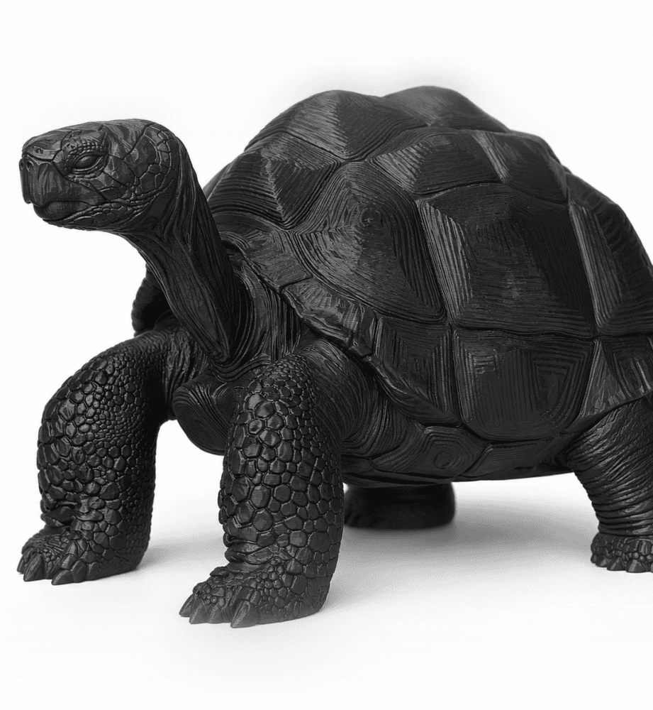Epic Giant Turtle Sculptural Tabletop Miniature 3d model