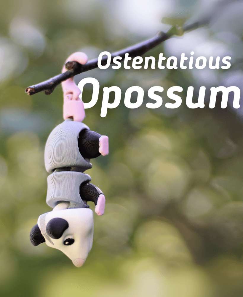 Ostentatious Opossum - Articulated Fidget Possum - Ludo Animal 3d model