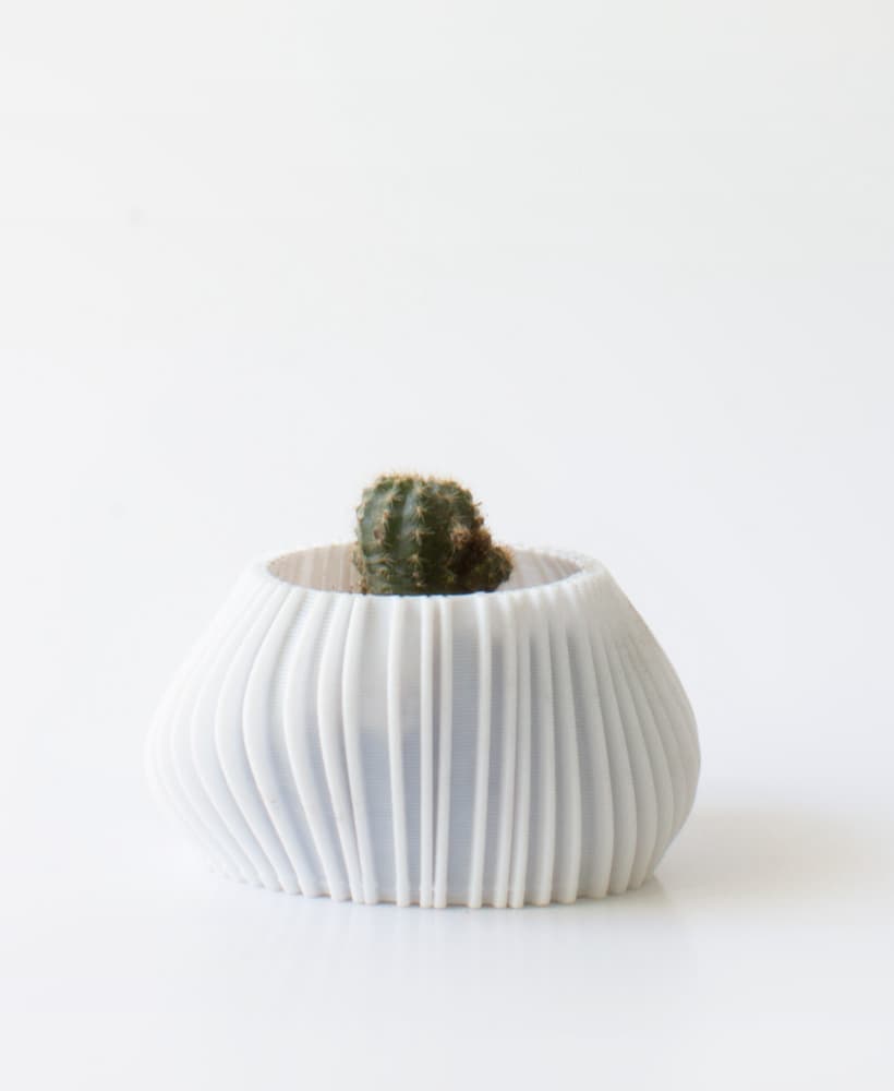 Small asymmetrical organic planter 3d model