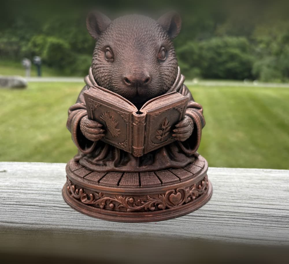 Reading Capybara 3d model