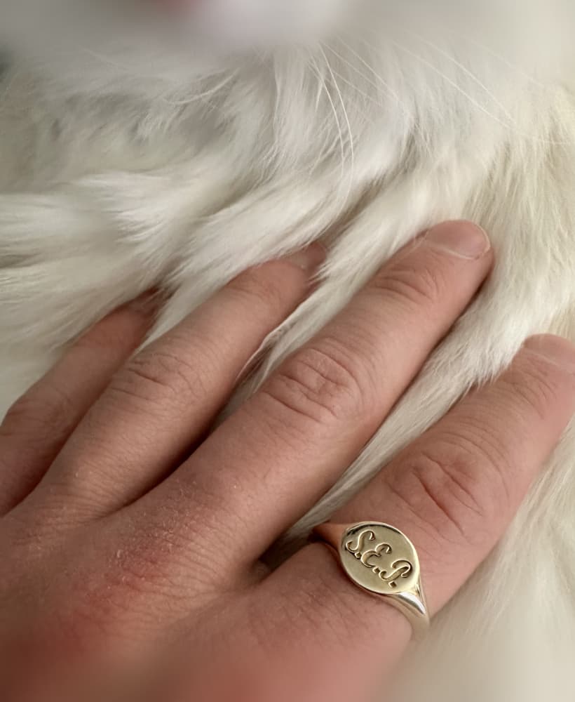 Signate Ring (Initialed SEP) 3d model