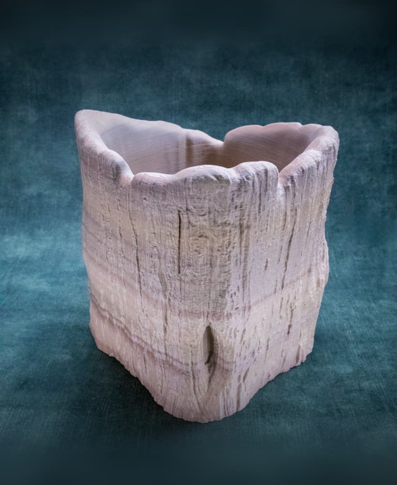 Trunk Pot (Prę Supported) 3d model