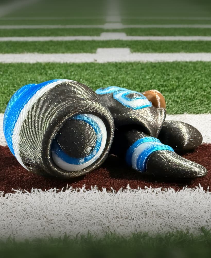 Footballs Biggest Little Fan Turtle 3d model