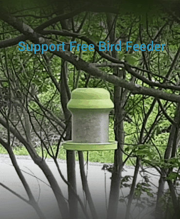 Bird Feeder - Support Free - Easy Print - With Drainage 3d model