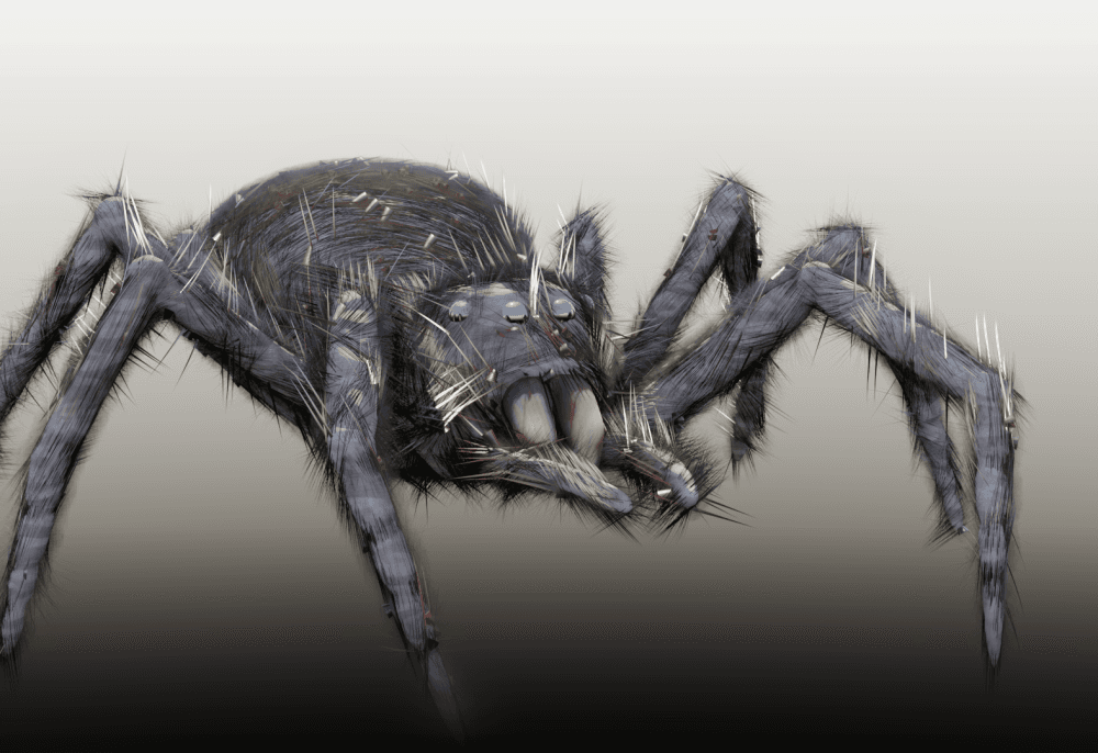 Spider Draft.blend 3d model
