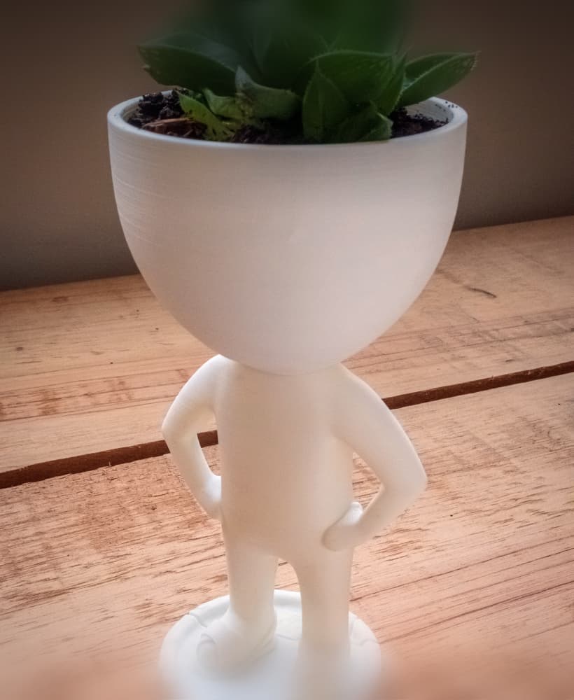 ROBERT PLANT POT STANDING WITH SHOES 3d model