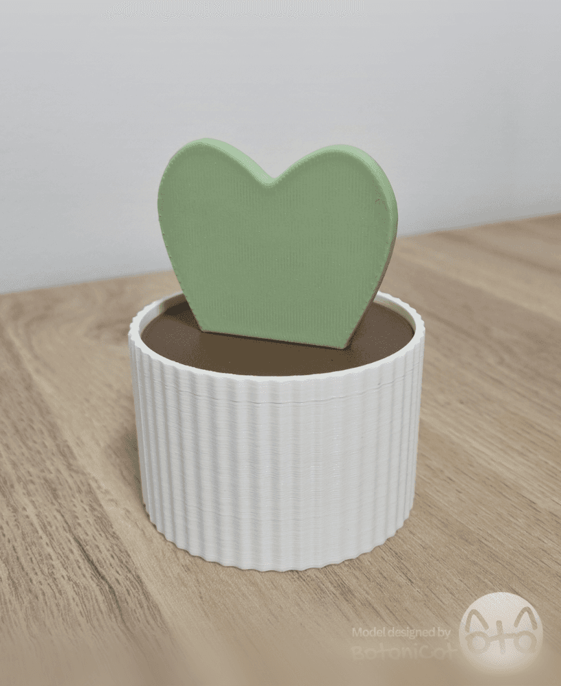 BotaniCat_Succulets_Box-Hoya Kerrii.stl 3d model
