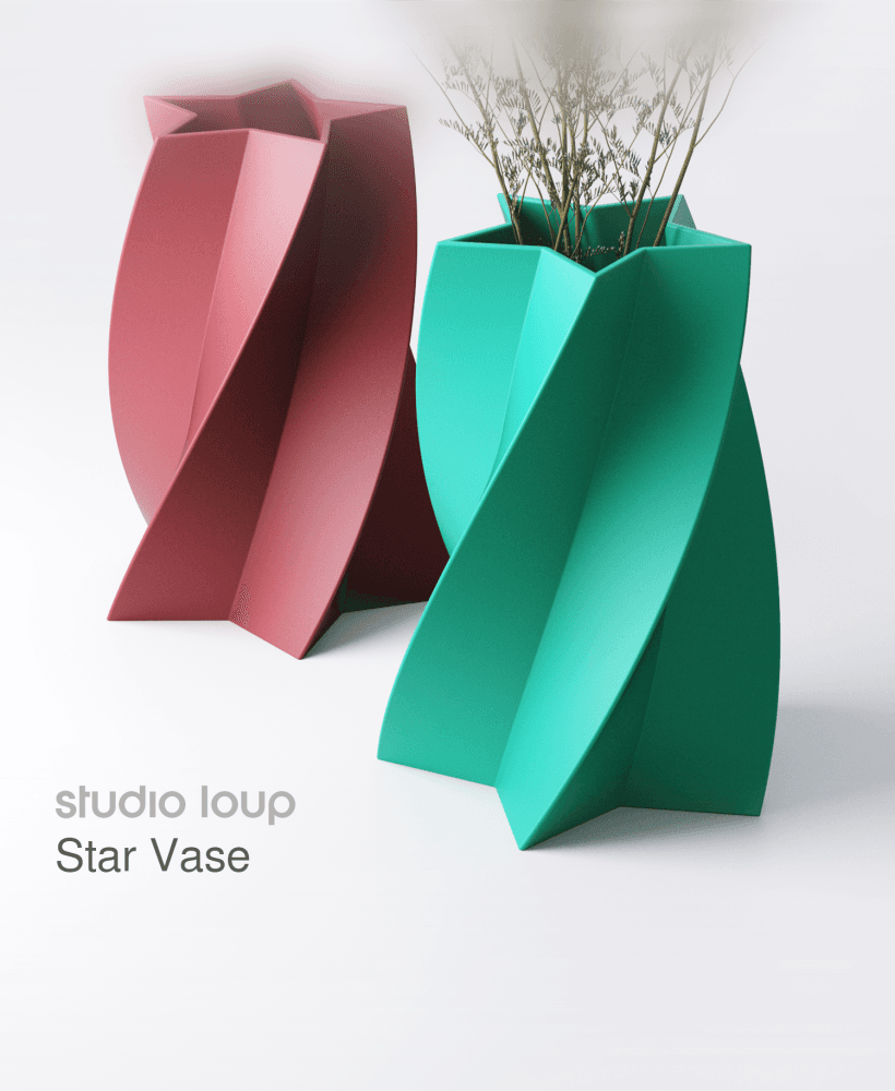 Star Vase 3d model