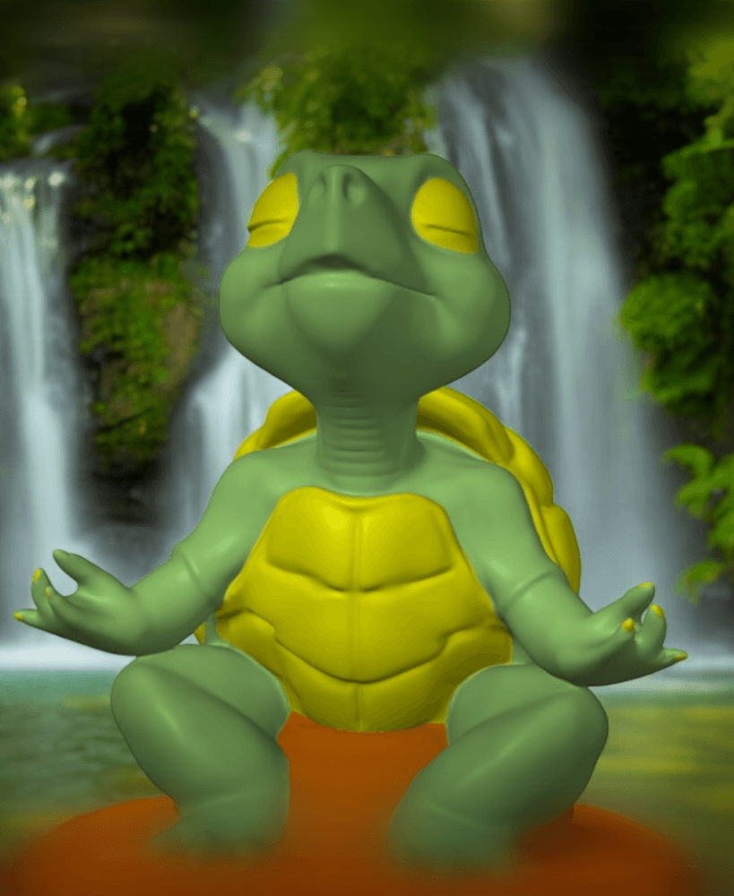 Turtle Meditating 3d model