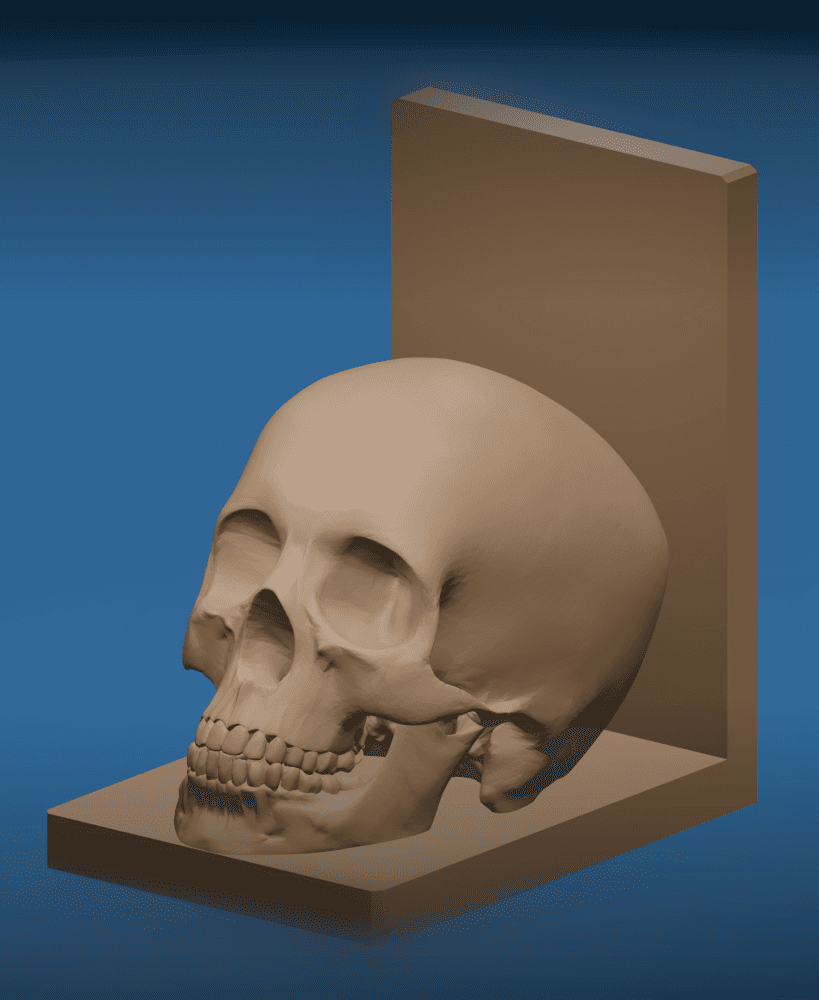 Skull Bookend Gothic Decorative Shelf Piece 3d model