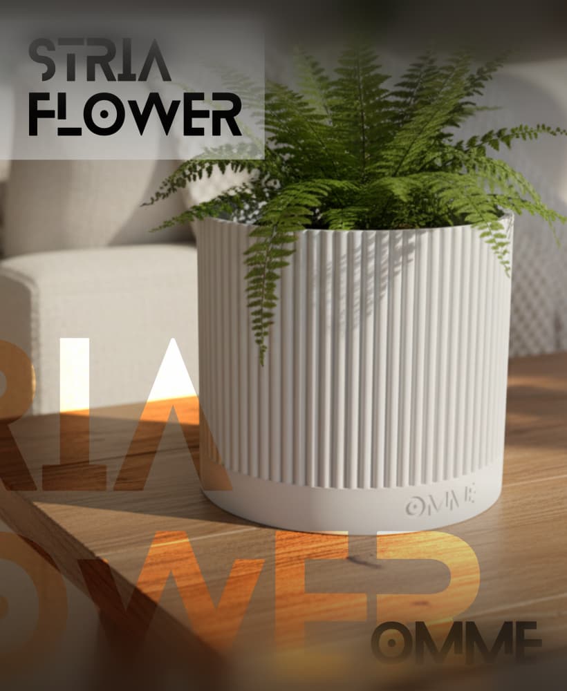 STRIA FLOWER 3d model