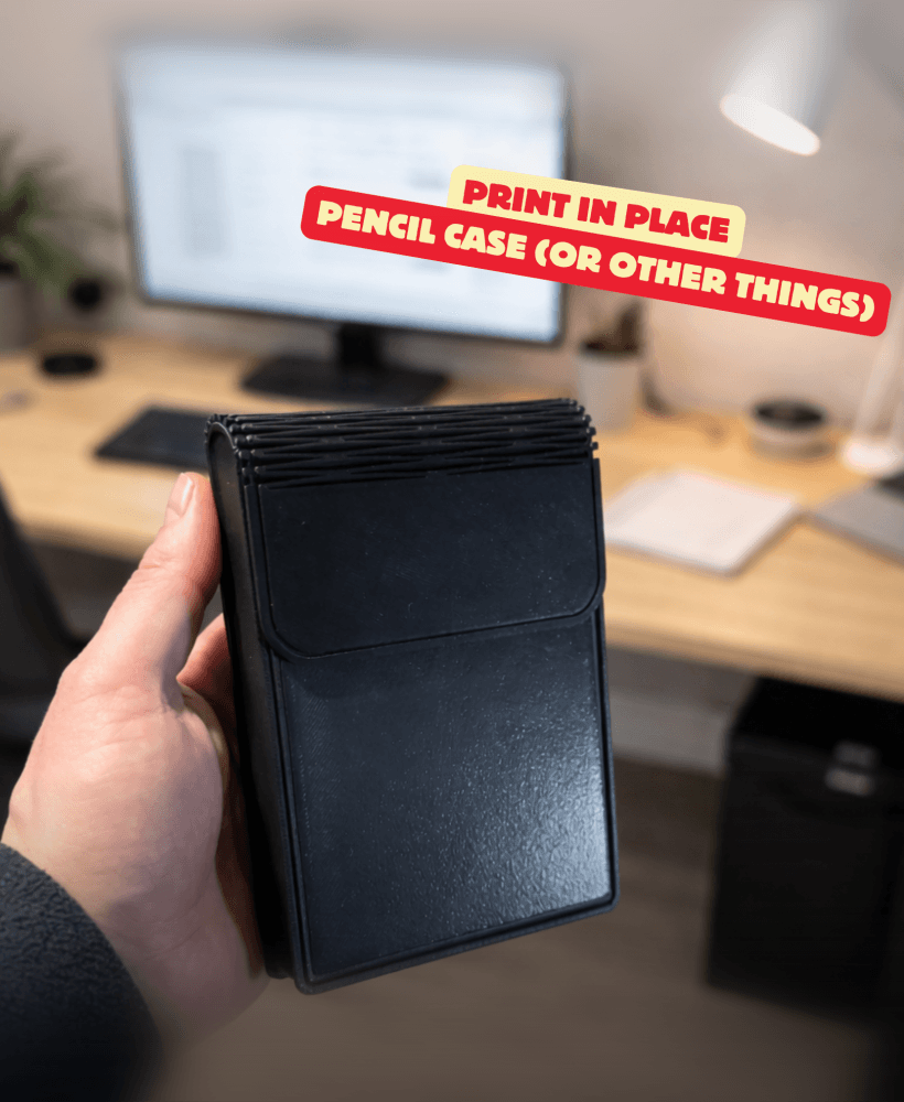 CASE WITH INLETS (PRINT IN PLACE) / PENCIL CASE / NO SUPPORTS / FLEXI / ORGANIZER / HOMEDECOR / DESK 3d model