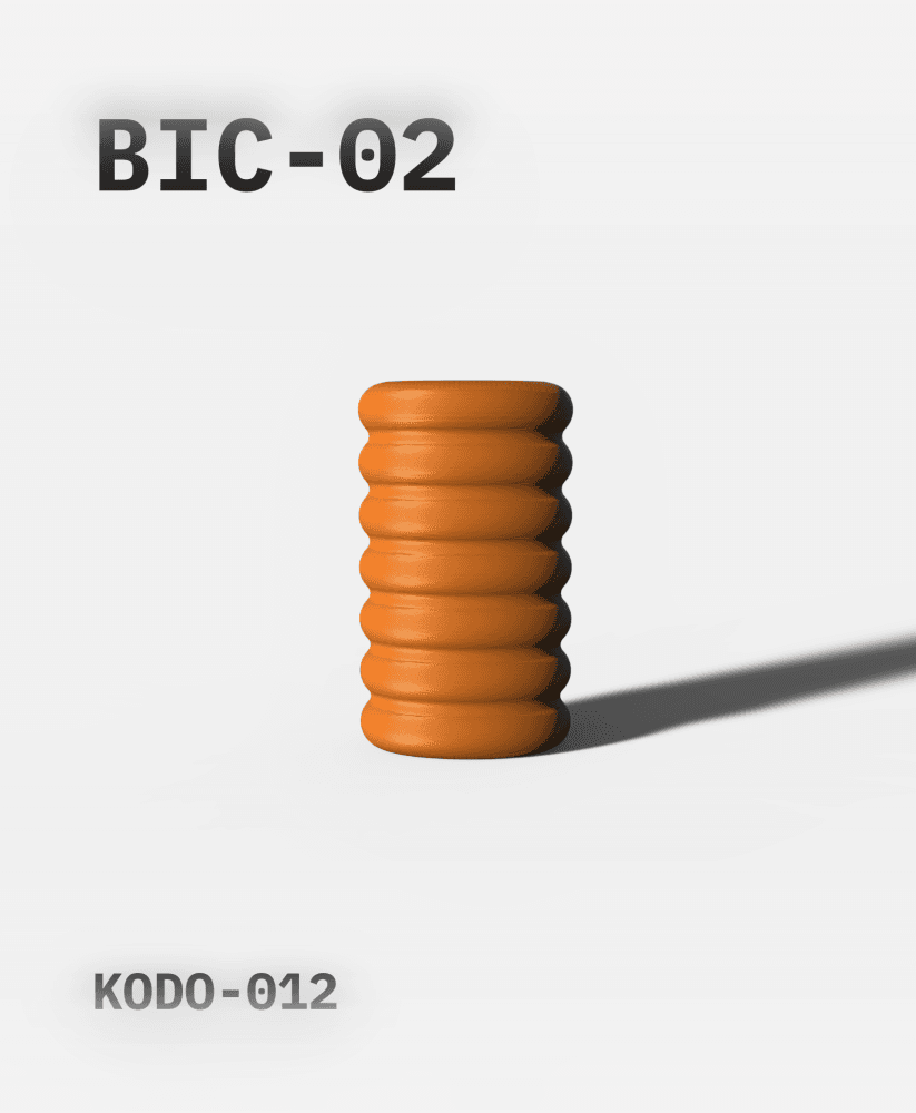 BIK02 - BIC LIGHTER CASE 3d model