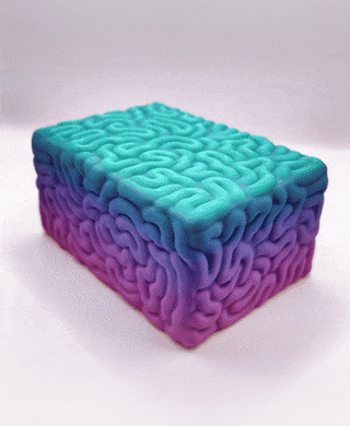 Brain Box 3d model
