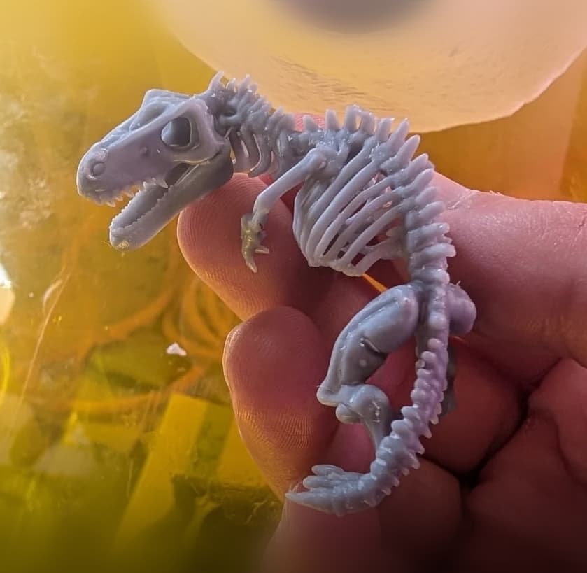 Dinosaur Skeleton (DND / TTRPG) 3d model