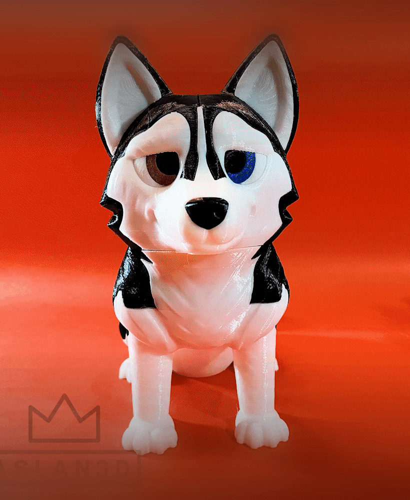Siberian Husky - By Colors 3d model