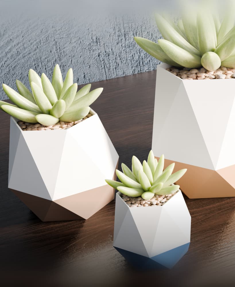 DuoFacet Pots 3d model