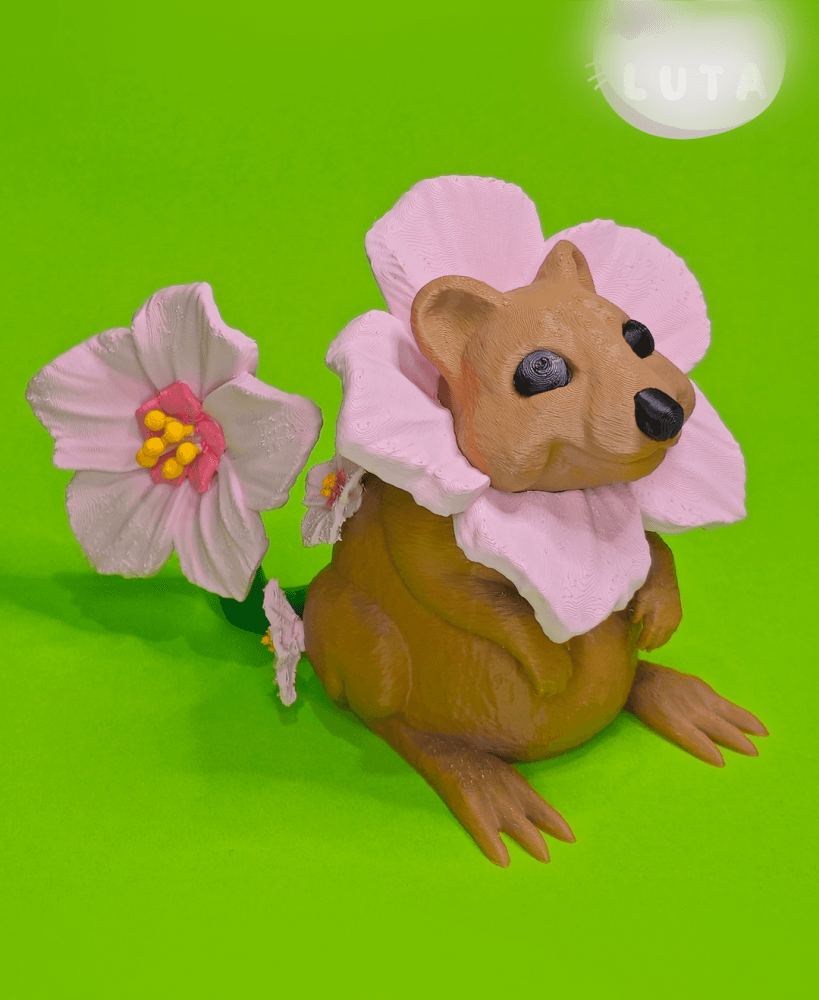 Sakura Quokka 3d model