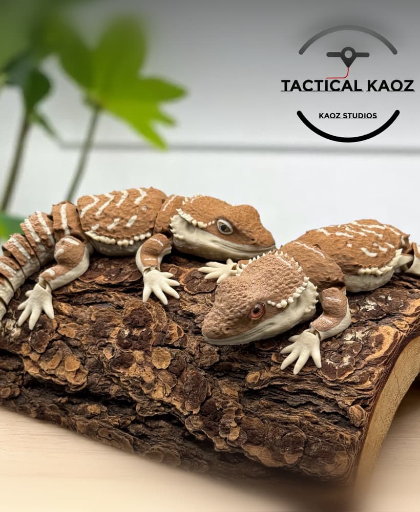 Articulated Bearded Dragons | Pre-Painted + Optional 8mm Glass Eye Version 3d model