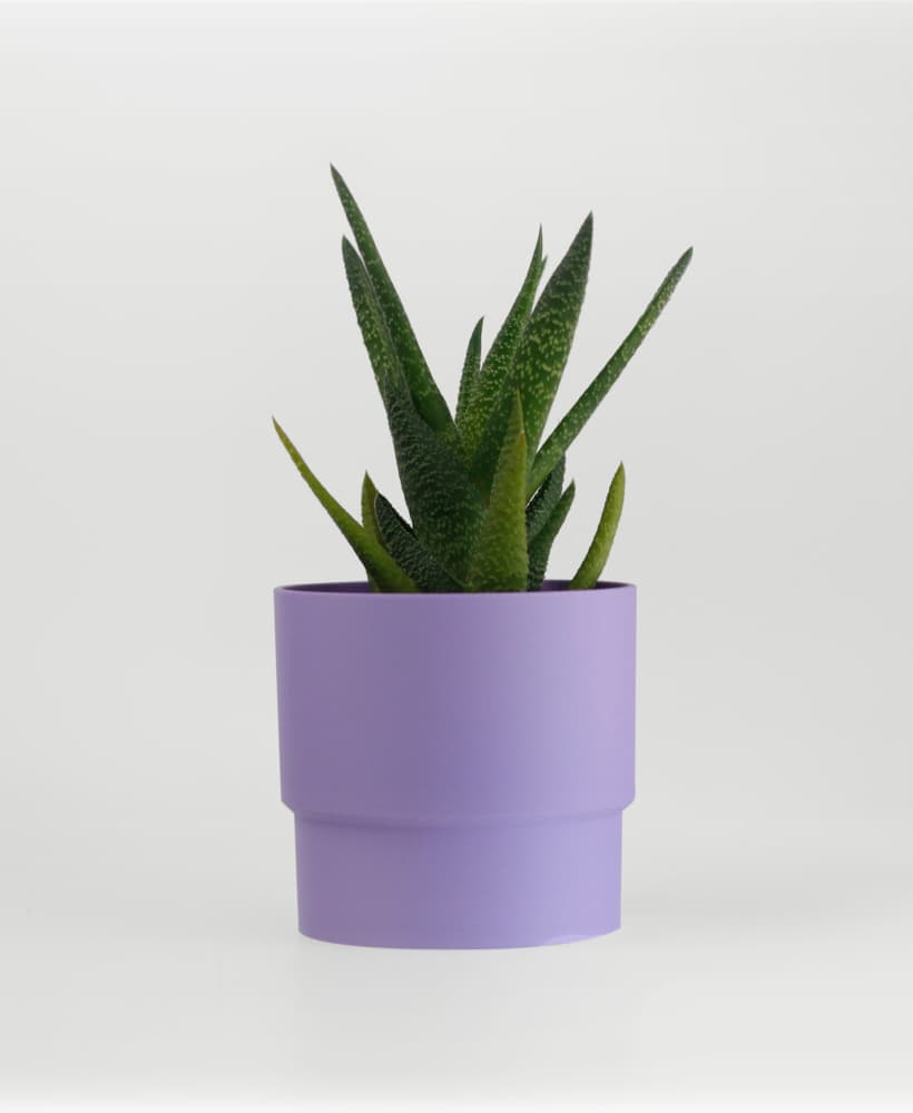 Stepped Cylindrical Planter - basic 3d model