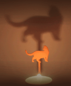 Animal Cat Walk 3d model