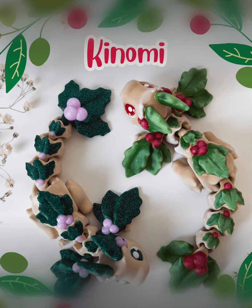 Kinomi 3d model