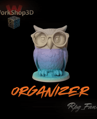 Wise_Owl_Organizer_Workshop3D.stl 3d model