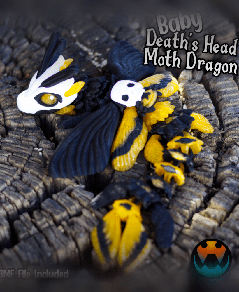 Baby Death's head Moth Dragon 3d model