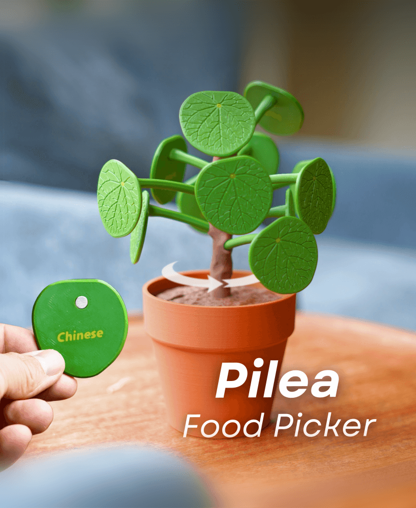 Pilea Food Picker - The Chinese Money Plant - Dinner Decider 3d model